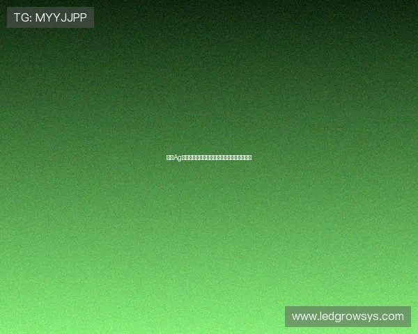 提升Ag视讯游戏平台用户体验的有效策略与实用建议