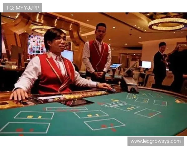 澳门百家乐平台多平台同步操作方便快捷体验