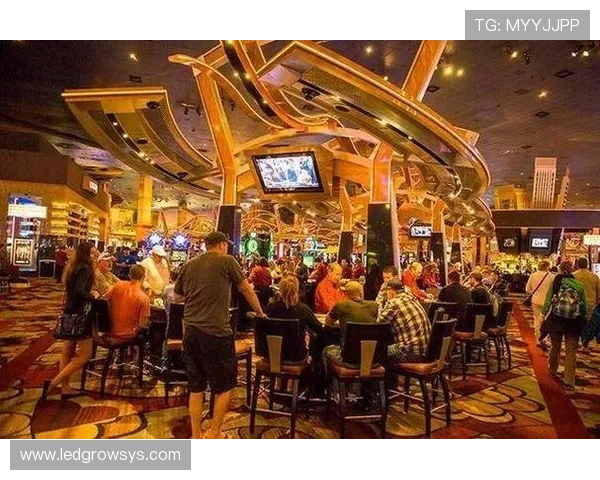 维多利亚赌场：探索最豪华的博彩娱乐体验