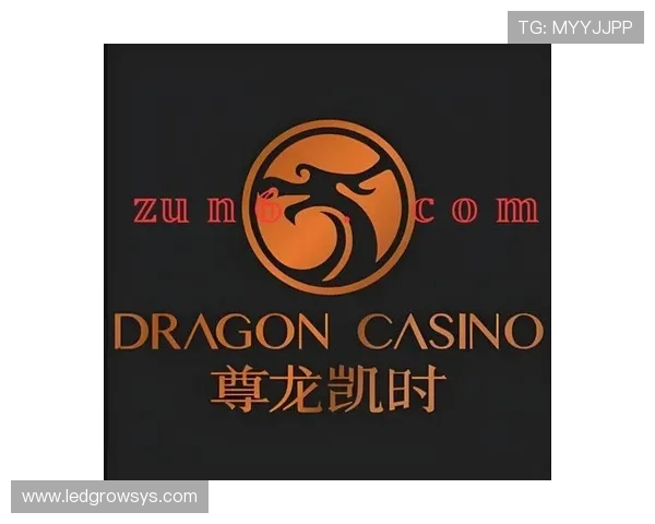z6com尊龙凯时百家乐如何保障玩家资金安全与隐私保护
