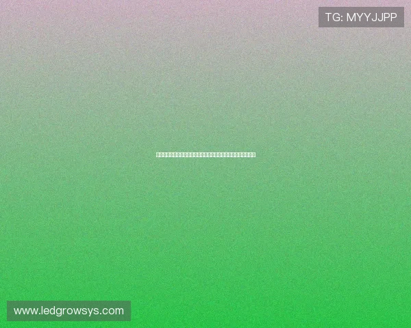 完美视讯的路子提升体育网站世界杯报道的视觉冲击力与用户体验