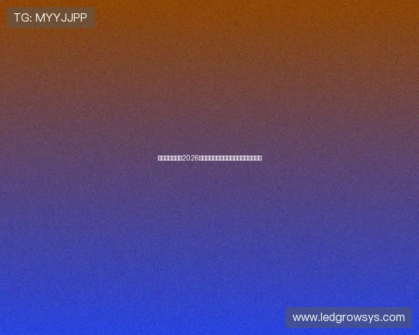乐健体育官网：2026世界杯足球明星阵容分析与球员表现亮点