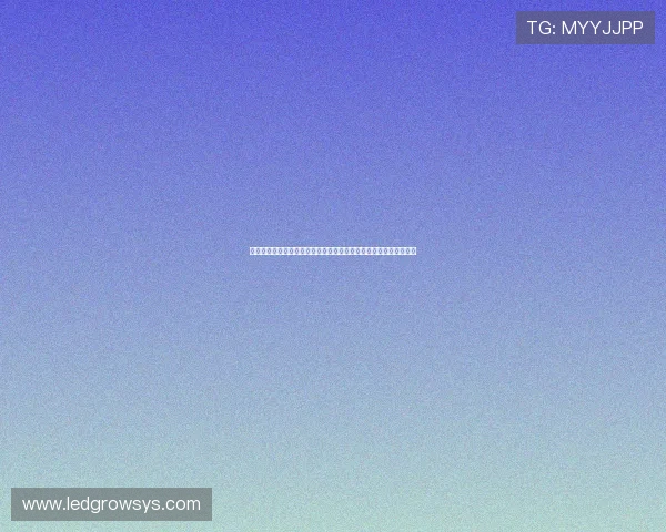 结合娱乐巨星系统优化世界杯内容：为用户提供丰富的体育娱乐资讯